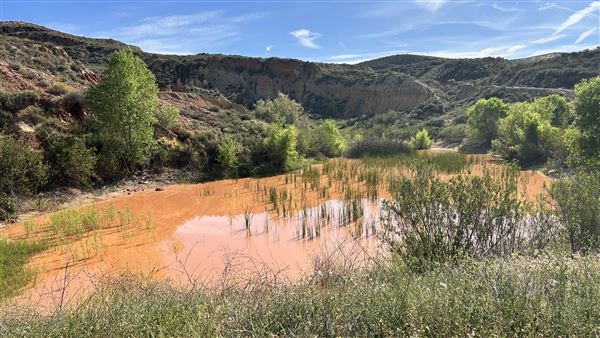 Alberhill Quarry (3/28/2026 - Credits: Brandy Davis)
