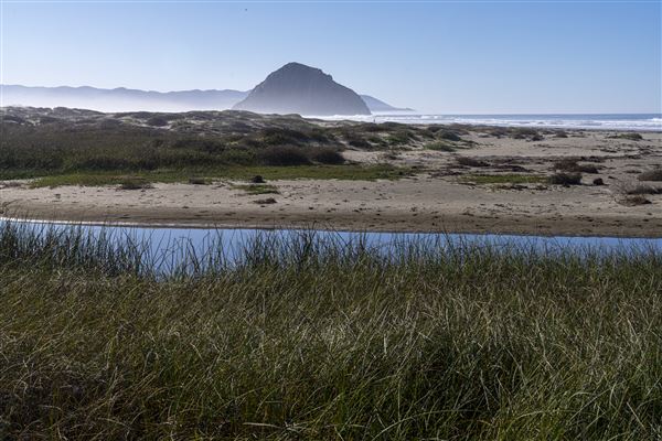 Morro Strand State Beach (SB) (12/1/2021 - Credits: Brian Baer)