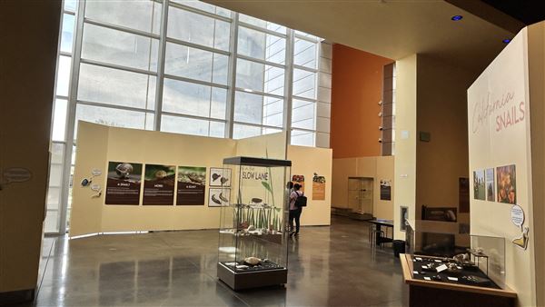 Wester Science Center (3/28/2026 - Credits: Brandy Davis)