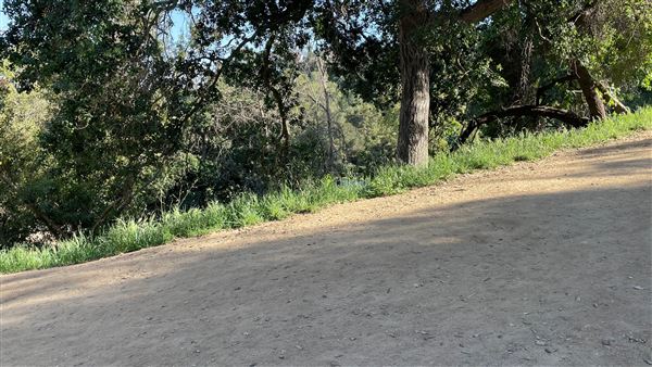 Boy Scout Trail - Griffith Park (3/6/2022 - Credits: Leo Fialho)