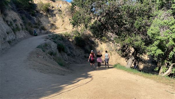 Boy Scout Trail - Griffith Park (3/6/2022 - Credits: Leo Fialho)