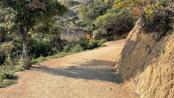 Boy Scout Trail - Griffith Park (3/6/2022 - Credits: Leo Fialho)