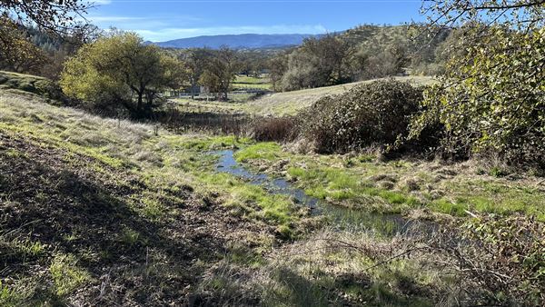 Solace Ranch & Vineyard (Credits: Solace Ranch)