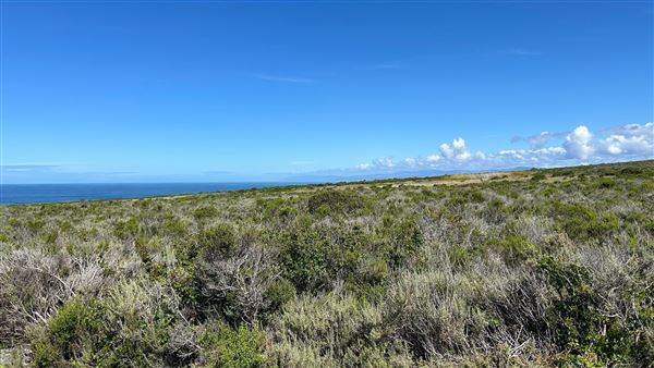 Montana de Oro State Park (SP) (4/22/2026 - Credits: Leo Fialho)