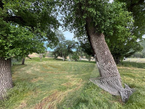 Solace Ranch & Vineyard (5/13/2026)