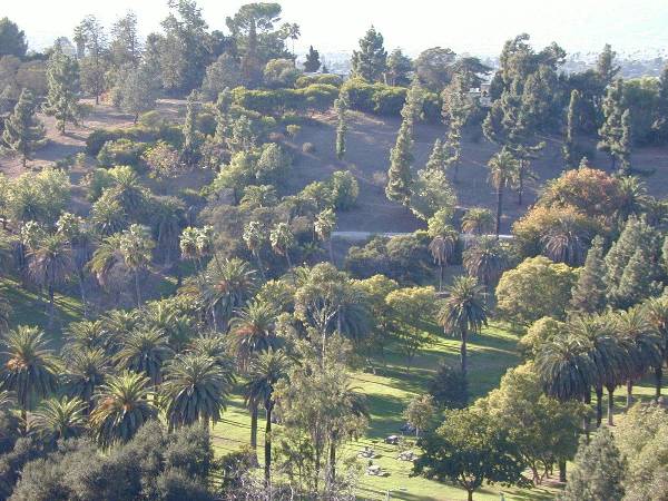 Elysian Park - Angels Point (12/31/2003)