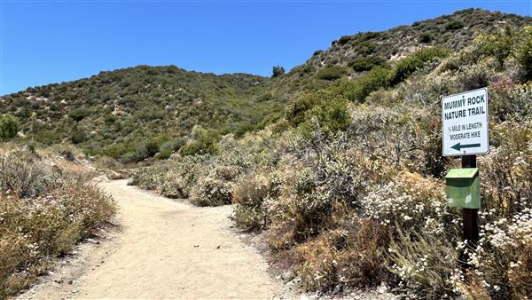 Deukmejian Wilderness Park (7/6/2026 - Credits: Brandy Davis)