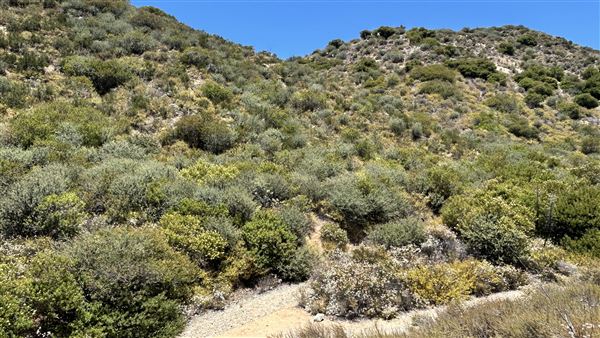 Deukmejian Wilderness Park (7/6/2026 - Credits: Brandy Davis)
