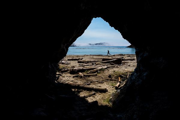 Mendocino Headlands State Park (SP) (7/15/2026 - Credits: submitted by: Tracy Weisberg)