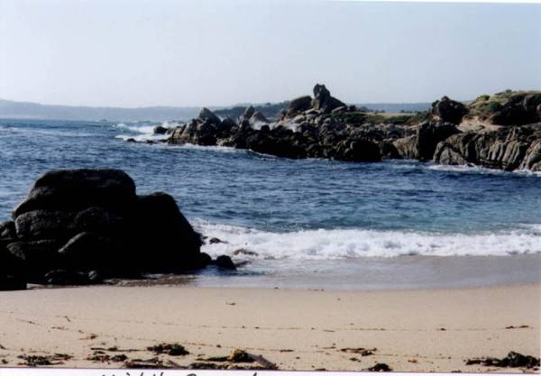 Middle Beach aka Ribera Beach @ Carmel River State Beach (SB) (12/31/2003)