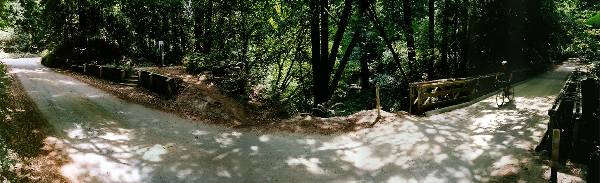 Forest of Nisene Marks State Park (SP), The (12/31/2003)