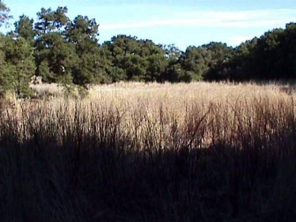 Rocky Oaks - National Park Service (NPS) (12/31/2003)