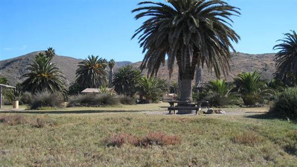 Catalina Island, Avalon Bay (7/27/2010 - Credits: Kent Matsuoka)