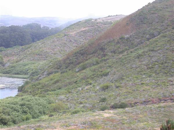 San Gregorio State Beach (SB) - San Gregorio Creek (8/3/2010)