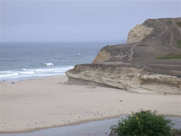 San Gregorio State Beach (SB) (8/3/2010)