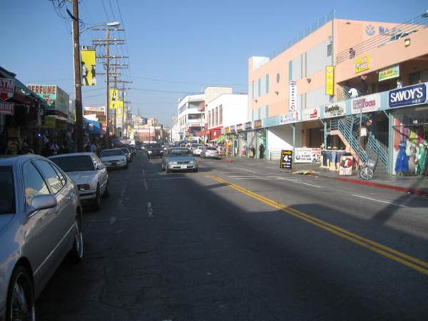 Maple Ave. (9/1/2010 - Credits: Lindsay Mizrahi)