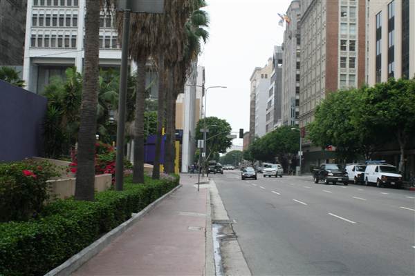Olive St. between 5th and 6th St. (9/1/2010 - Credits: Lindsay Mizrahi)