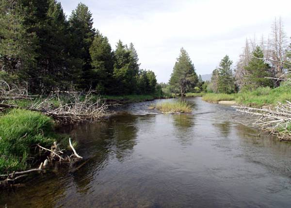 Washoe Meadows State Park (SP) (12/31/2003)