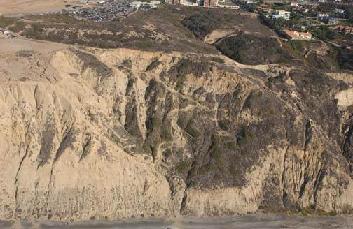 Torrey Pines State Natural Reserve (SNR) - Blacks Beach (8/16/2011)