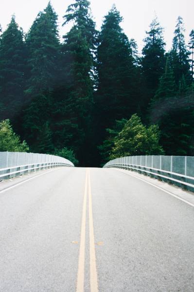 Highway 101 within Humboldt Redwoods State Park (3/17/2008)