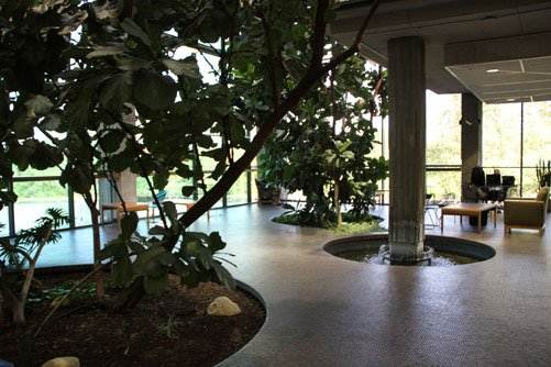 Huntington Beach Central Library (2/7/2012)