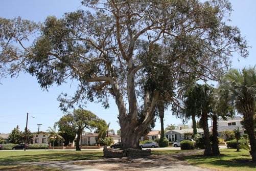 Lake Park (3/28/2012)