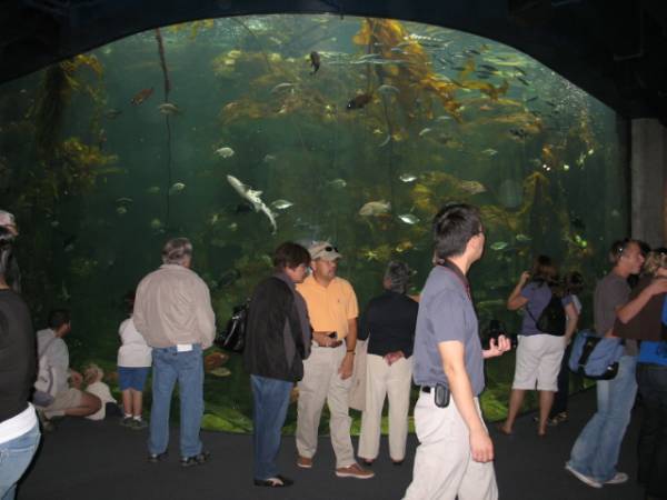 California Academy of Sciences (10/6/2008)