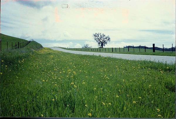 Peach Tree Road (9/5/2012)