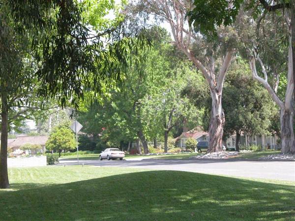 Chapman Woods Neighborhood Streets (10/10/2012)