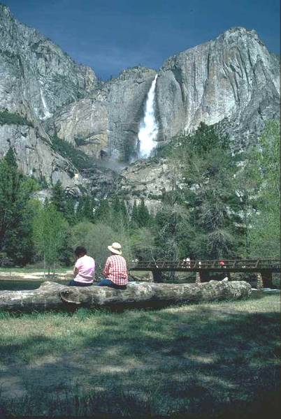 Yosemite National Park - More Info: visit www.filmyosemite.com (12/25/2008 - Credits: Dave Wolin)