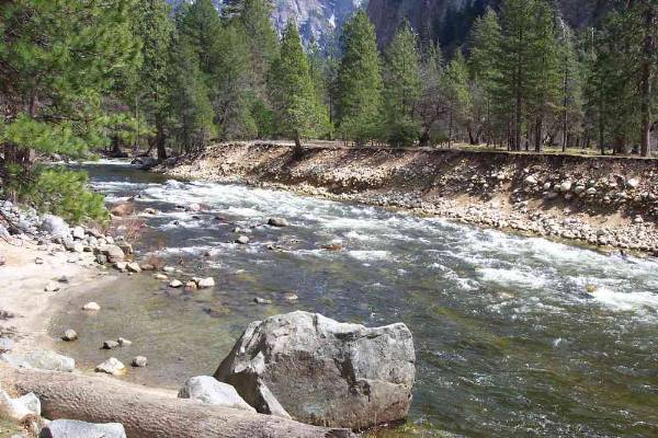Yosemite National Park (12/25/2008)