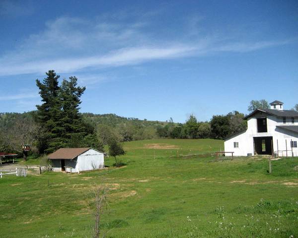 Spennymoor Ranch (1/23/2009)