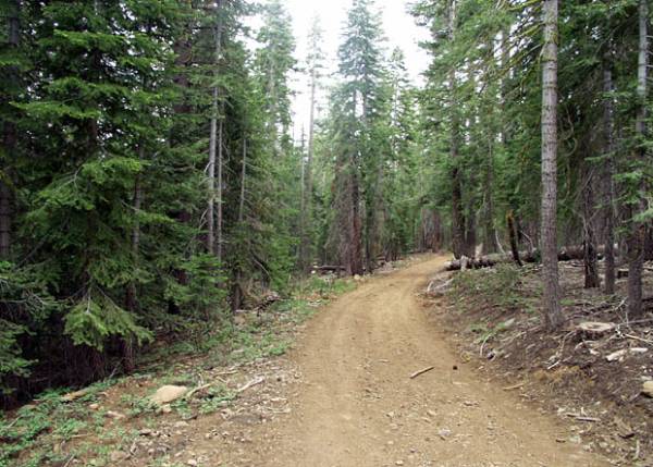 Burton Creek State Park (SP) (12/31/2003)
