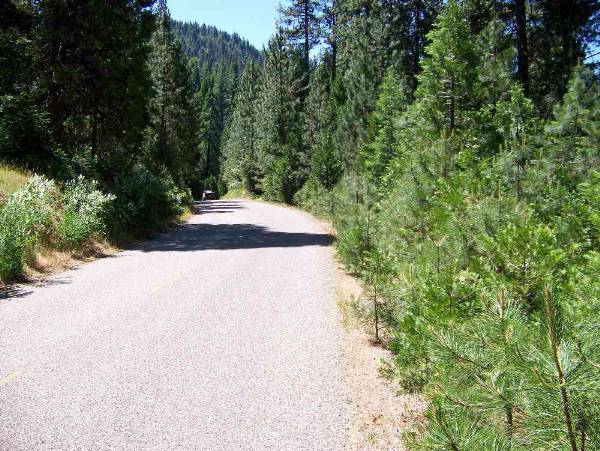 Beasore Road - More Mountain Roads at www.filmyosemite.com (5/31/2009 - Credits: Dave Wolin)