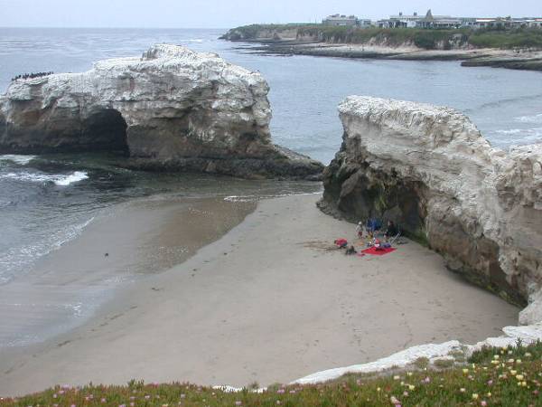 Natural Bridges State Beach (SB) (6/25/2009)