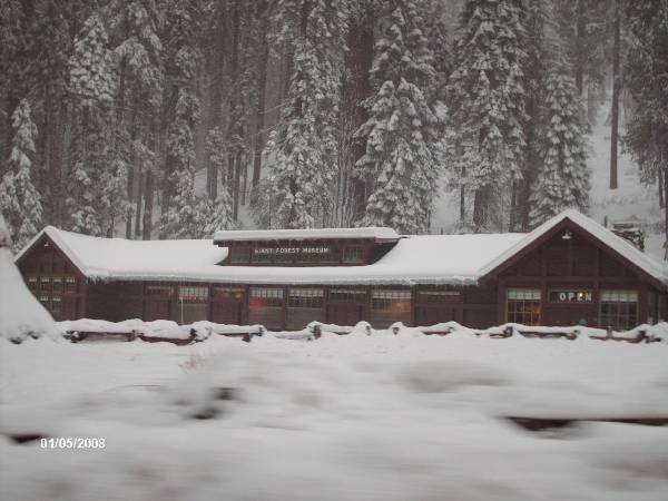 Sequoia and Kings Canyon National Parks & Crystal Cave - Giant Forest Museum (1/5/2008 - Credits: L Feldstein)
