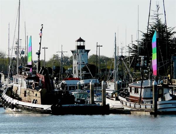 Eureka Woodley Island Marina (1/20/2014)