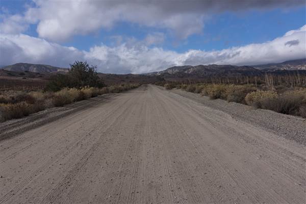 Pyramid Lake (1/26/2015)