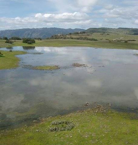 Santa Rosa Plateau Ecological Reserve - Riverside County & California Department of Fish & Wildlife (CDFW) (10/19/2015)