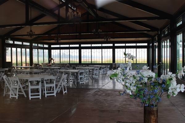 Anselmo Vineyard (10/29/2015)