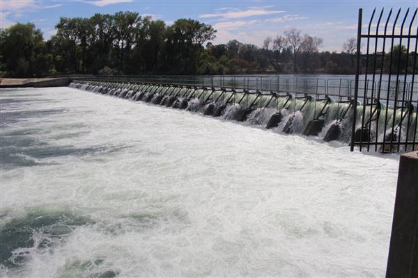 Lake Redding Park (10/30/2015 - Credits: Jill Naumann)