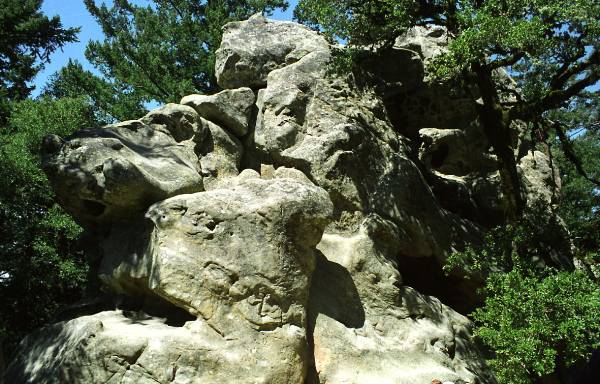 Castle Rock State Park (SP) (12/31/2003)