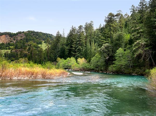 Benbow State Recreation Area (SRA) (1/12/2016 - Credits: http://parks.ca.gov/?page_id=426)