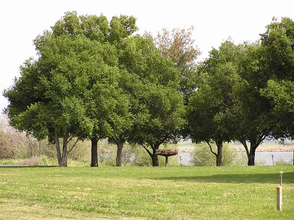Brannan Island State Recreation Area (SRA) (1/14/2016 - Credits: http://www.parks.ca.gov/ImageGallery/?page_id=487)