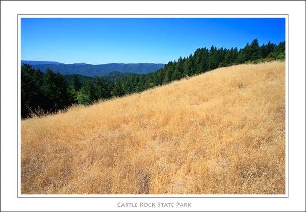 Castle Rock State Park (SP) (1/14/2016 - Credits: http://www.parks.ca.gov/?page_id=538)
