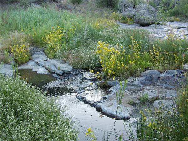 Cuyamaca Rancho State Park (SP), Lake Cuyamaca and Grand Valley Rapids (1/15/2016 - Credits: http://www.parks.ca.gov/ImageGallery/?page_id=667)