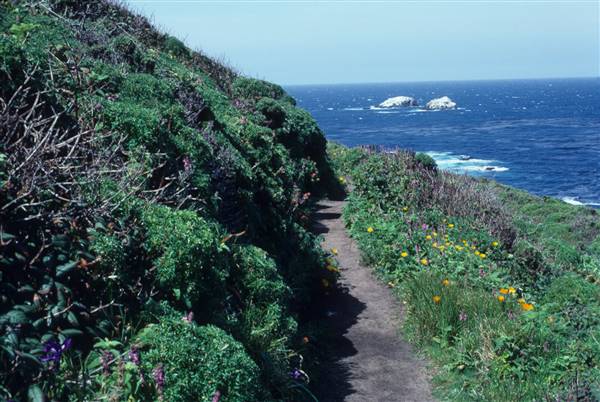 Garrapata State Park (SP) (1/19/2016 - Credits: Courtesy of California State Parks, 2016)