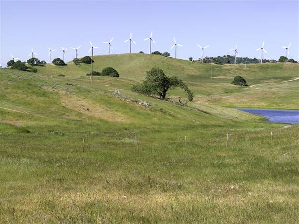Pacheco State Park (SP) and Windmill Farm / Wind Energy (2/29/2016)