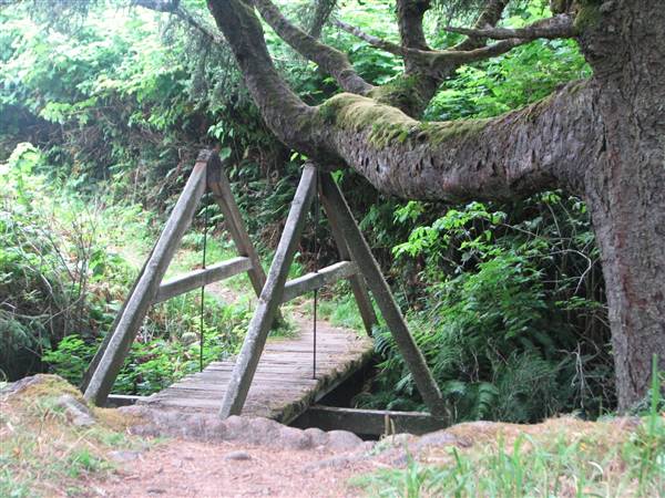 Del Norte Coast Redwoods State Park (SP) within the Redwood National and State Parks - http://stateparkclosurestrip.blogspot.com/ (3/2/2016 - Credits: Photo courtesy of Lucy D'Mot)