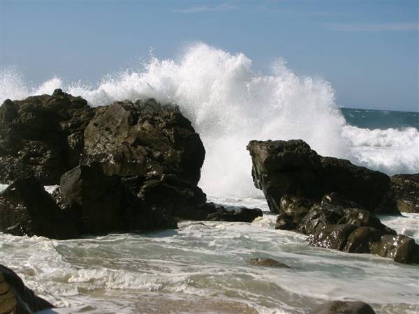 Garrapata State Park (SP) - http://stateparkclosurestrip.blogspot.com/ (3/2/2016 - Credits: Photo courtesy of Lucy D'Mot)